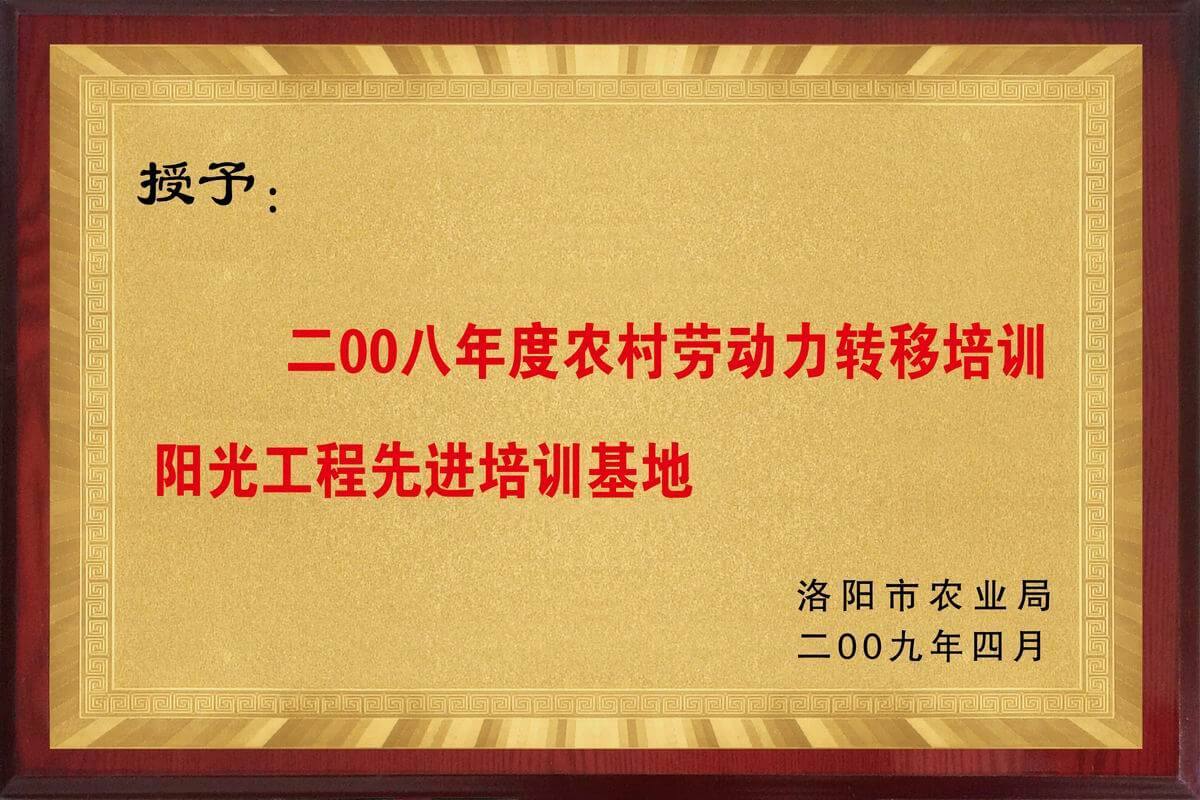 照片